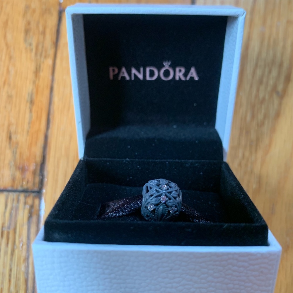 Pandora Matte Charm